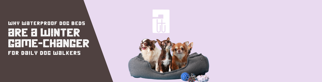 blog banner for the best waterproof dog beds