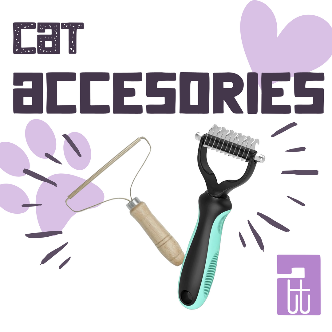 Cat Accessories