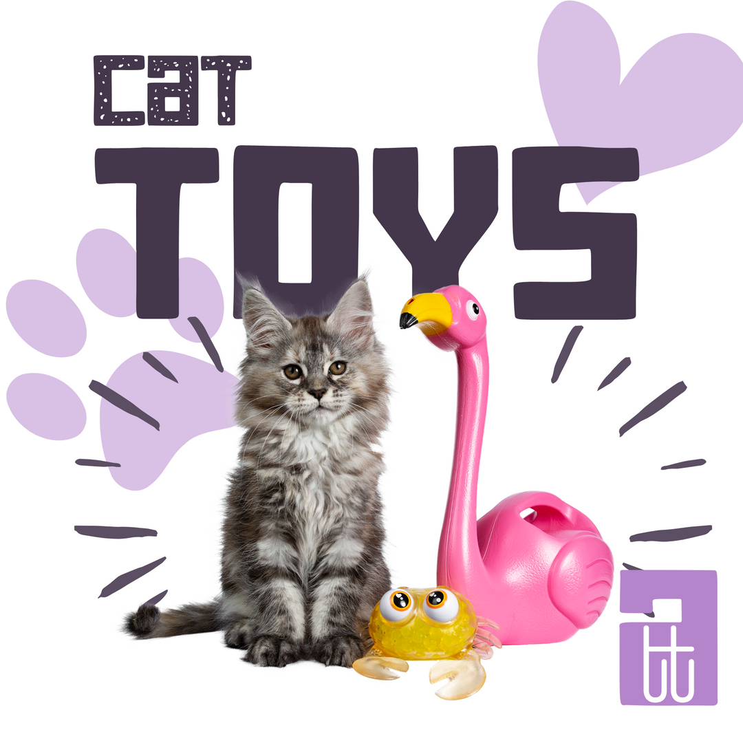 Cat Toys