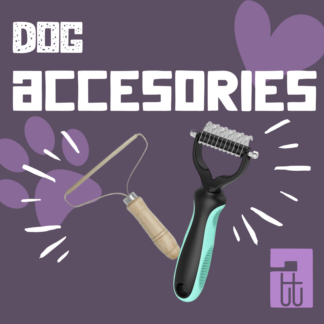 Dog Accessories