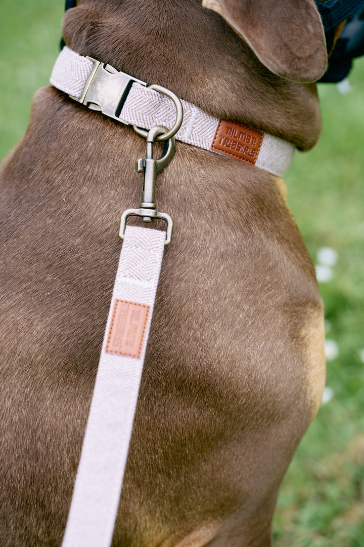 Brown Tweed Herringbone Dog Collar with Rustic Metal Buckle & Leather Logo