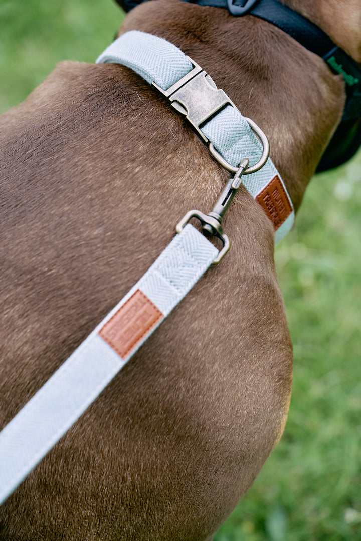 Green Tweed Herringbone Dog Collar with Rustic Metal Buckle & Leather Logo