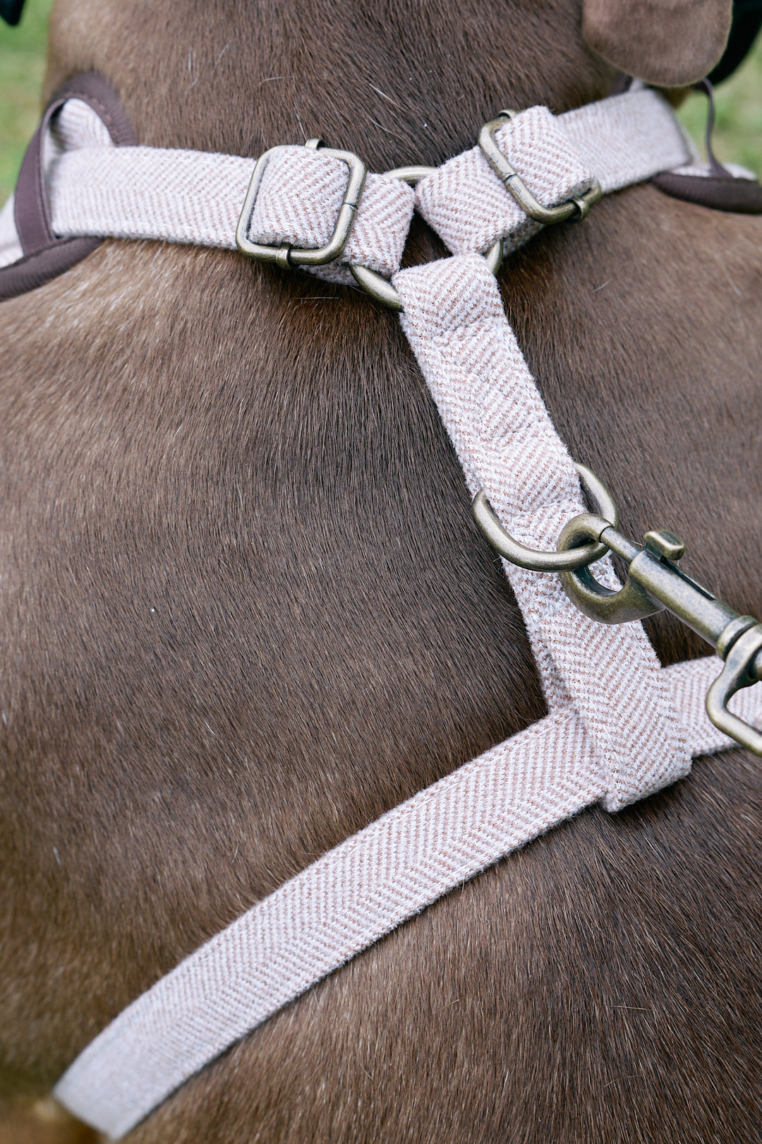 Brown Premium Tweed Herringbone Dog Harness Full Set