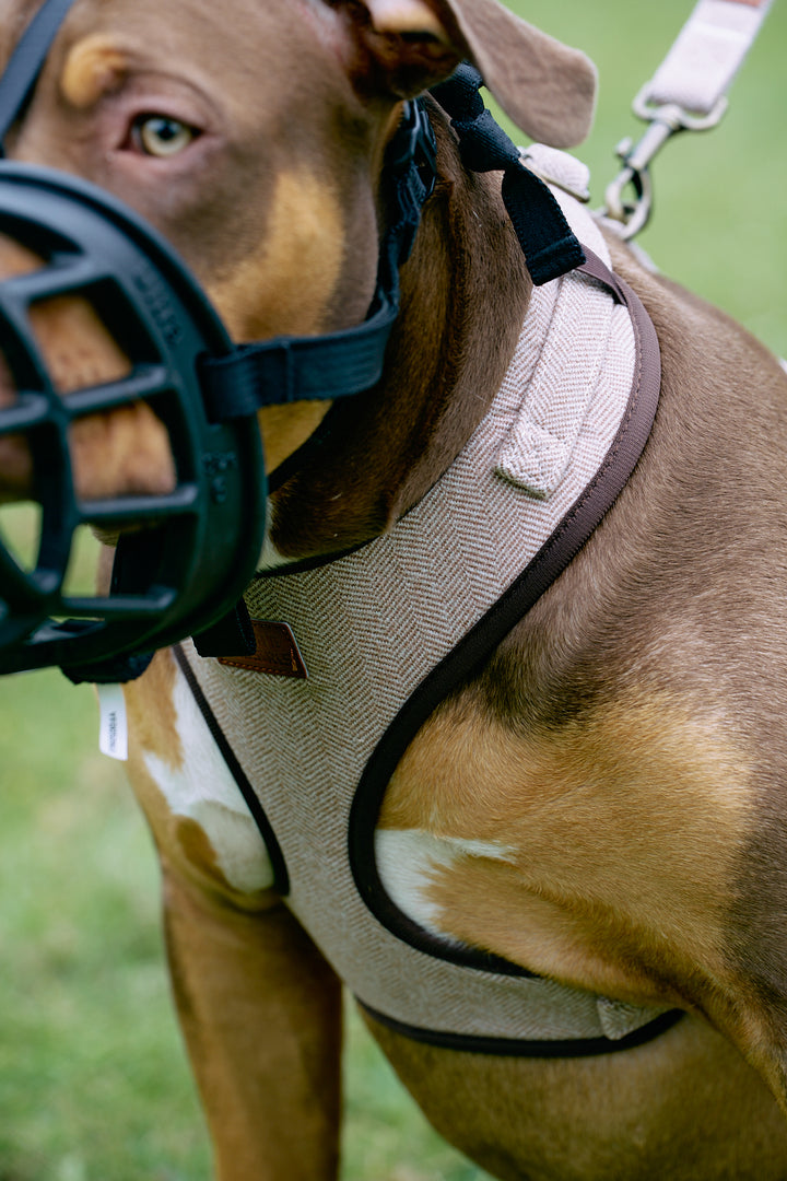 Brown Tweed Herringbone Premium Dog Harness