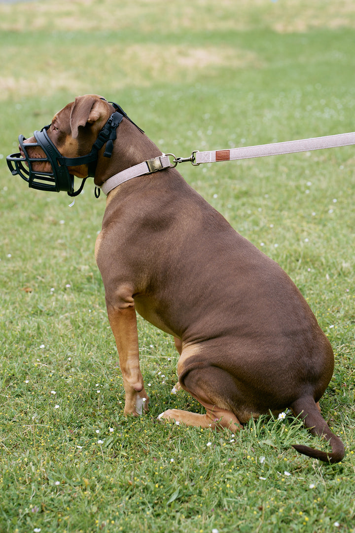 Brown Tweed Herringbone Dog Collar with Rustic Metal Buckle & Leather Logo