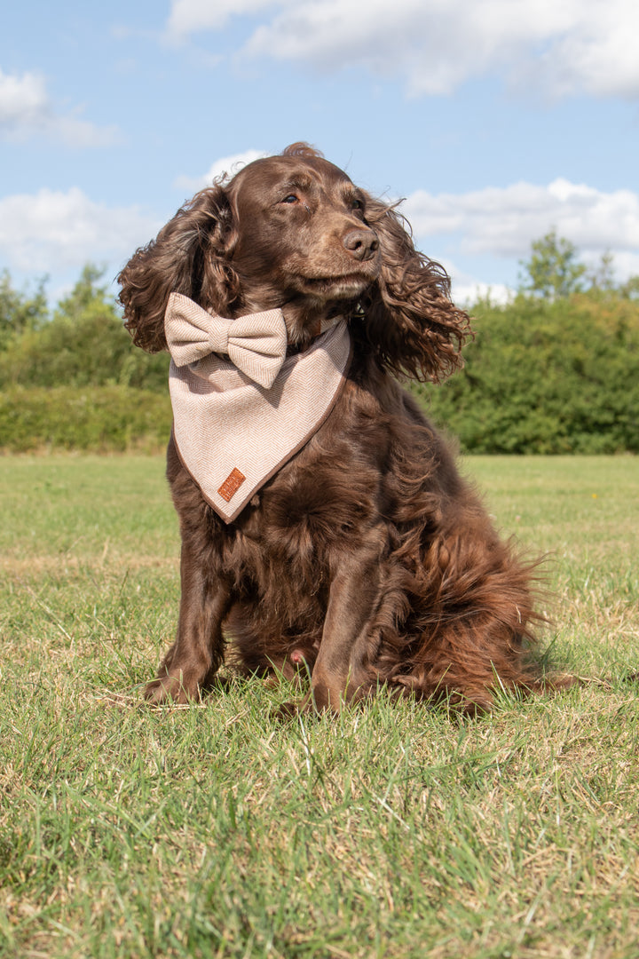 Brown Premium Tweed Herringbone Dog Harness Full Set