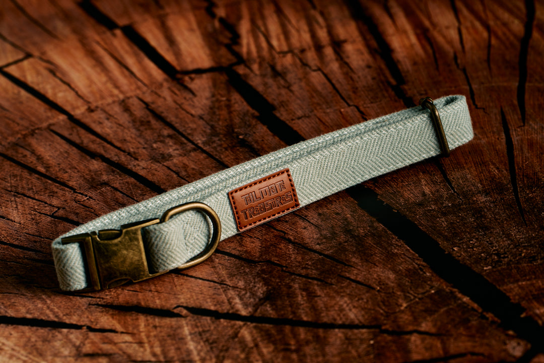 Green Tweed Herringbone Dog Collar with Rustic Metal Buckle & Leather Logo