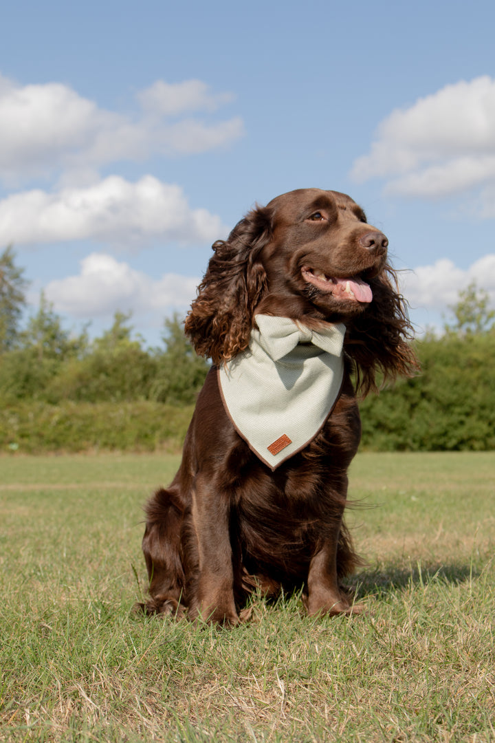 Green Premium Tweed Herringbone Dog Harness Full Set